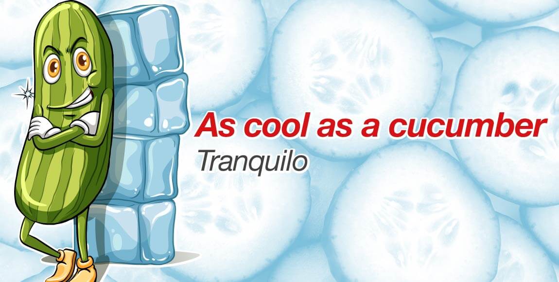 O QUE SIGNIFICA AS COOL AS A CUCUMBER? – Inglês na sua Casa