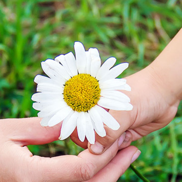 Os nomes das flores em inglês